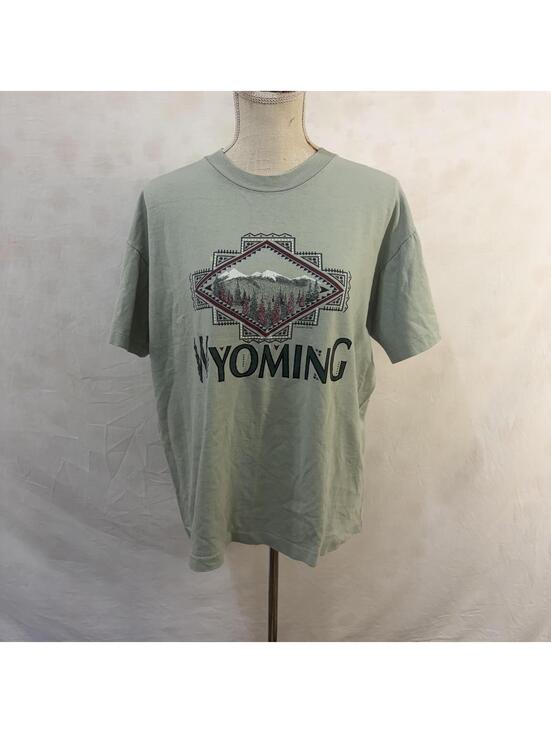 Tops - Wyoming single stitch vintage t-shirt size large